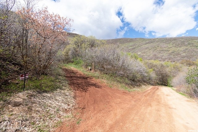 160 Switzer #160, Midway, UT 84049 — photo 12