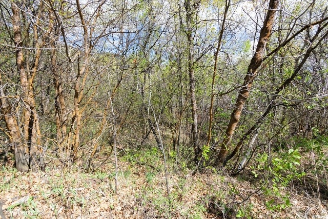160 Switzer #160, Midway, UT 84049 — photo 11