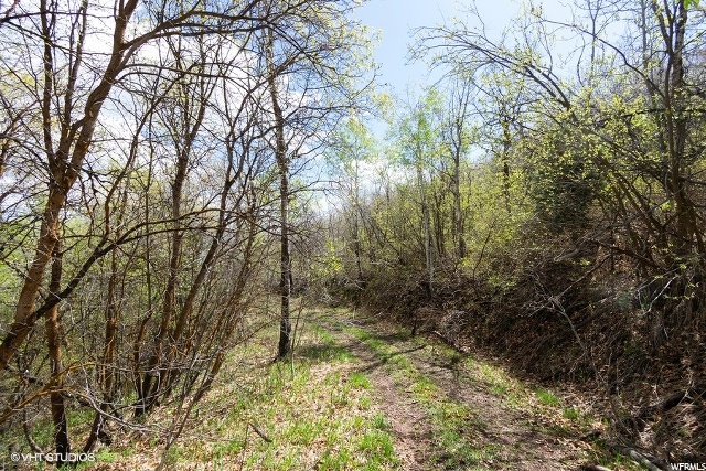 160 Switzer #160, Midway, UT 84049 — photo 10