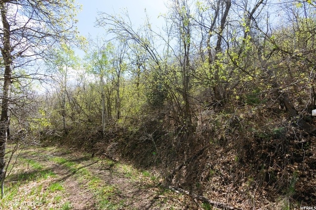 160 Switzer #160, Midway, UT 84049 — photo 9