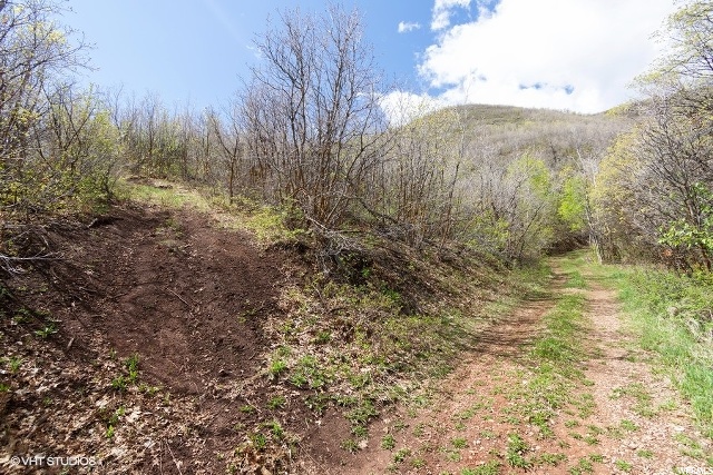 160 Switzer #160, Midway, UT 84049 — photo 5