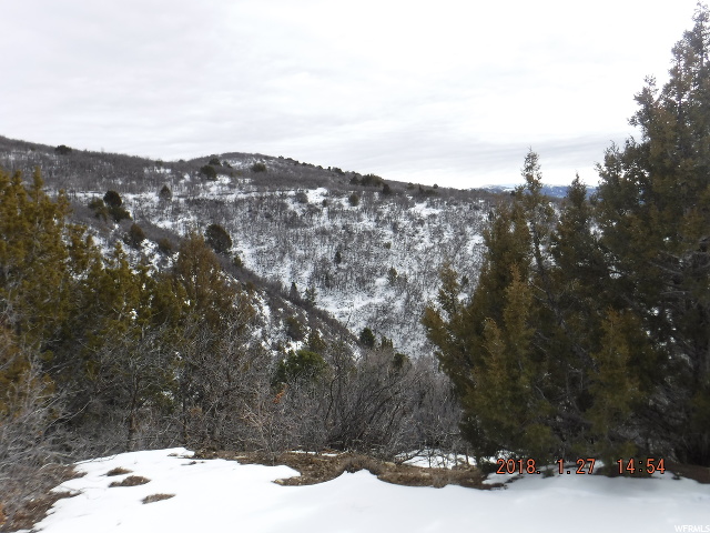 13180 E Juniper Dr #M-12, Fairview, UT 84629 — photo 12