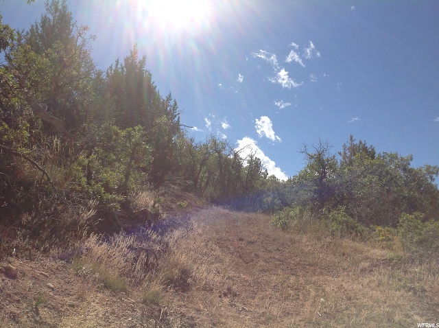 13040 E Juniper Dr #M-6, Fairview, UT 84629 — photo 2