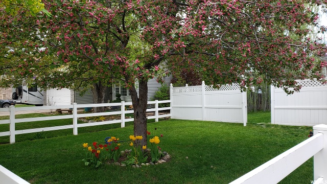 215 W 1330 N, Logan, UT 84341 — photo 3