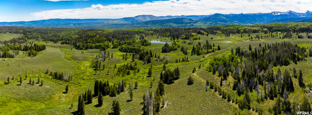 1 Whitney Forest Rd, Kamas, UT 84036 — photo 12