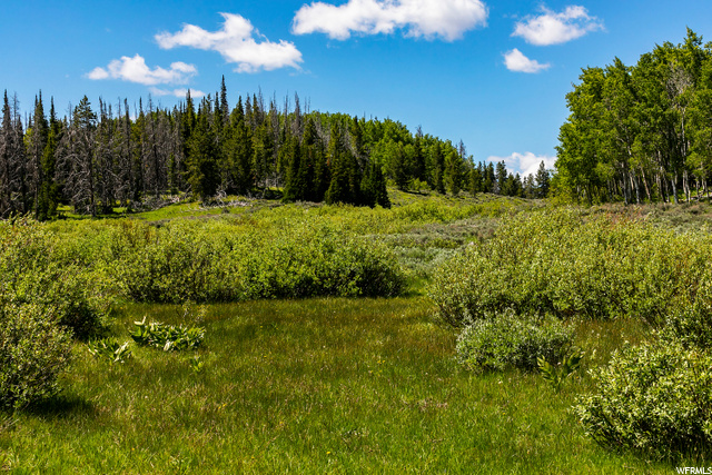 1 Whitney Forest Rd, Kamas, UT 84036 — photo 5