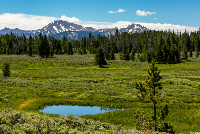 1 Whitney Forest Rd, Kamas, UT 84036 — photo 4