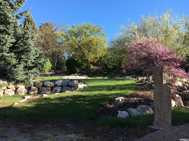 525 W Elberta Dr, Pleasant View, UT 84414 — photo 5