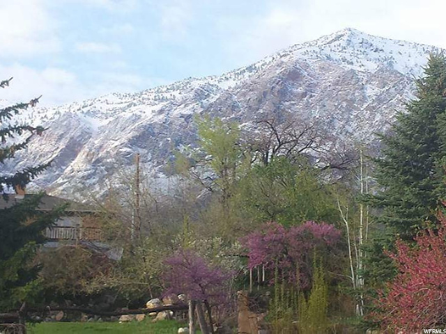 525 W Elberta Dr, Pleasant View, UT 84414 — photo 12