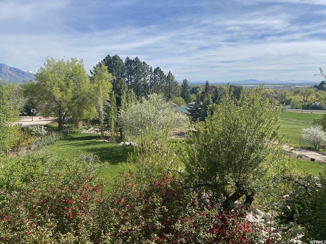 525 W Elberta Dr, Pleasant View, UT 84414 — photo 11