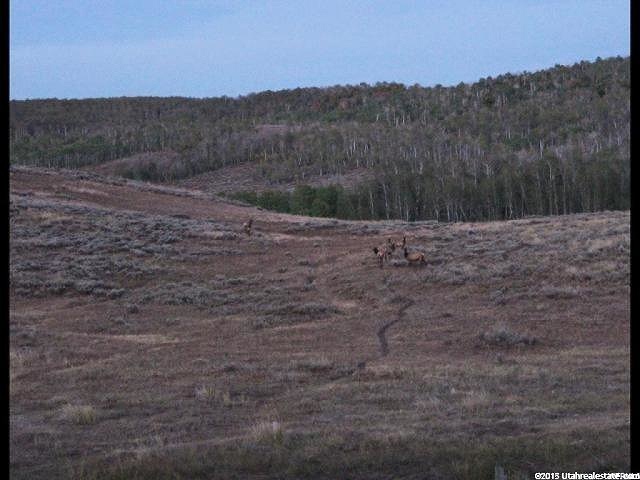 Avon, UT 84328 — photo 7