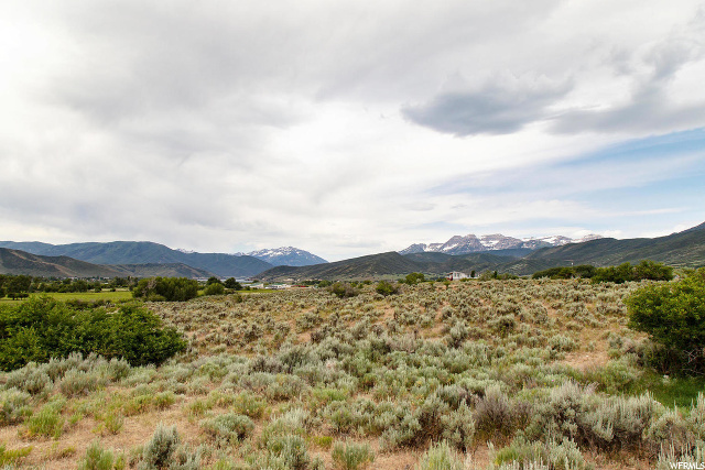1 Fox Den Rd #1, Midway, UT 84049 — photo 12