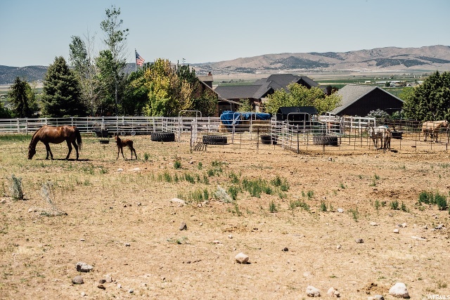 313 E 1200 S, Nephi, UT 84648 — photo 8