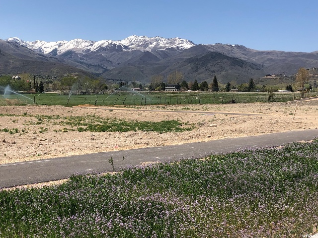 296 E 230 N #113, Midway, UT 84049 — photo 11