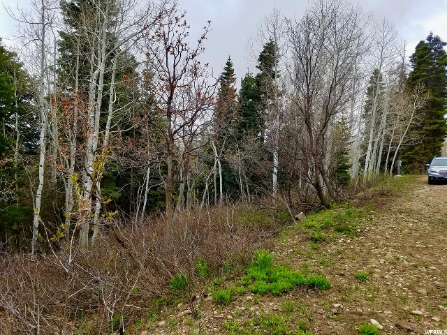 1625 Heather Ln #E-81, Wanship, UT 84017 — photo 11