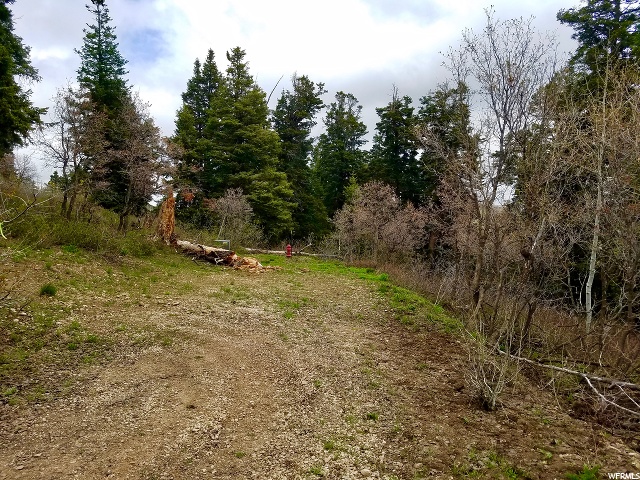 1625 Heather Ln #E-81, Wanship, UT 84017 — photo 8