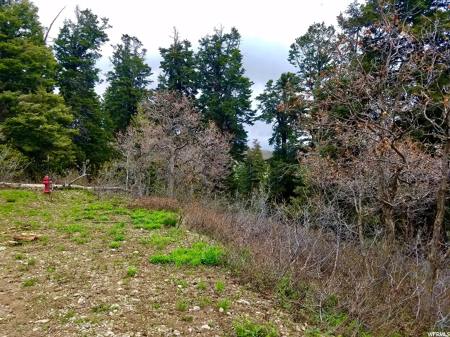 1625 Heather Ln #E-81, Wanship, UT 84017 — photo 9