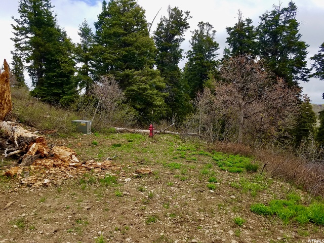 1625 Heather Ln #E-81, Wanship, UT 84017 — photo 10