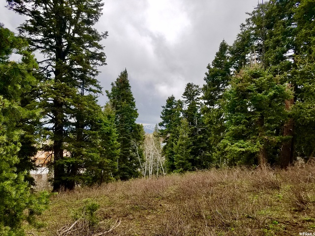 1625 Heather Ln #E-81, Wanship, UT 84017 — photo 4