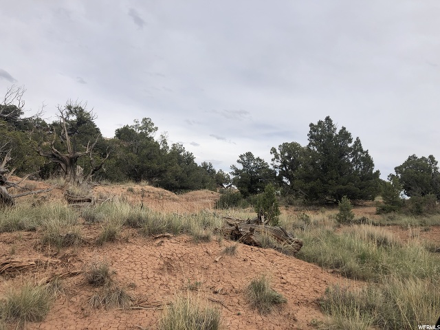 #11A, Fruitland, UT 84027 — photo 10