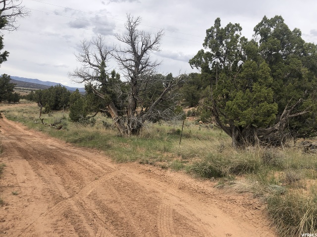 #11A, Fruitland, UT 84027 — photo 8