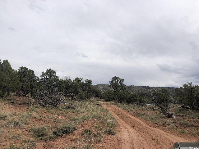 #11A, Fruitland, UT 84027 — photo 7