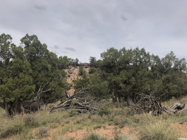 #11A, Fruitland, UT 84027 — photo 6