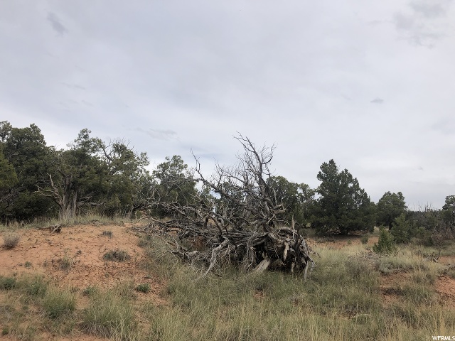 #11A, Fruitland, UT 84027 — photo 9