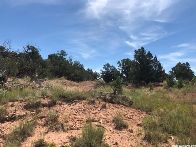 #11A, Fruitland, UT 84027 — photo 4
