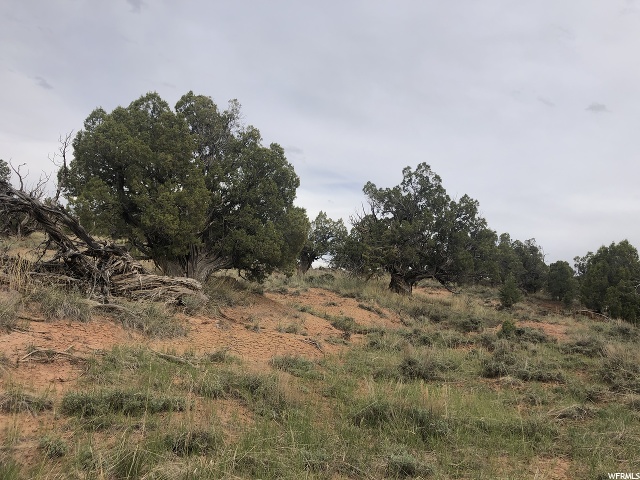 #11A, Fruitland, UT 84027 — photo 11