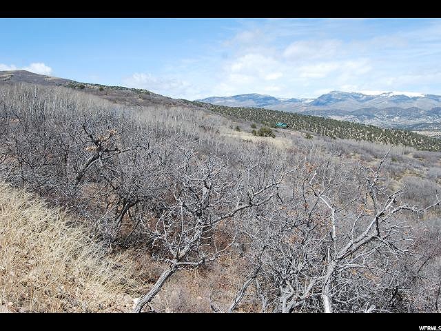 #2, Tabiona, UT 84072 — photo 4