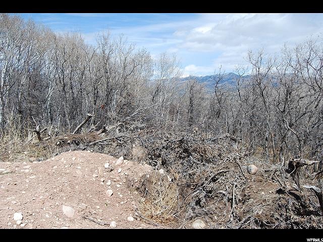 #2, Tabiona, UT 84072 — photo 2