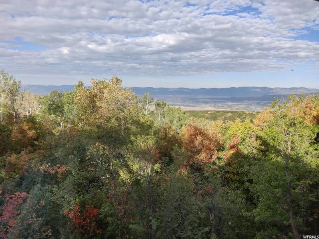 1093 S Shadow Way E, Fairview, UT 84629 — photo 7