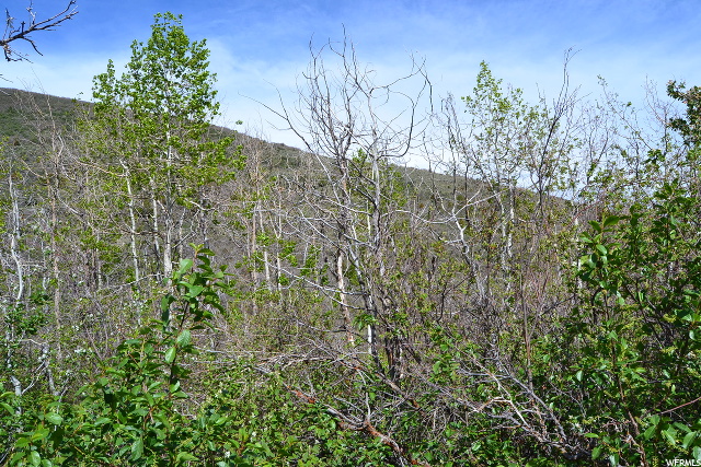 #111, Woodland, UT 84036 — photo 7