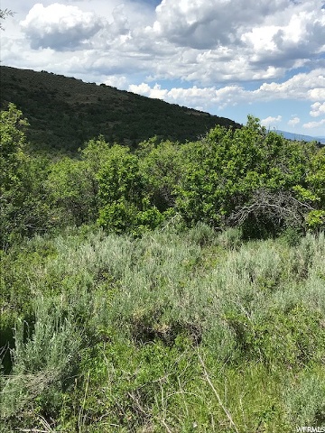 #111, Woodland, UT 84036 — photo 12