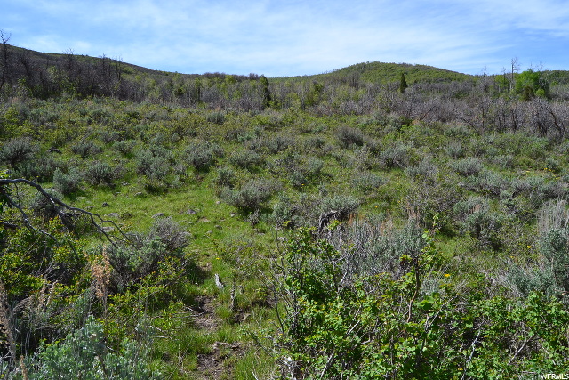 #111, Woodland, UT 84036 — photo 6