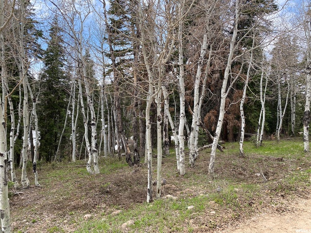 1507 W Elk Rd #D73, Wanship, UT 84017 — photo 3