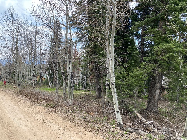 1507 W Elk Rd #D73, Wanship, UT 84017 — photo 7