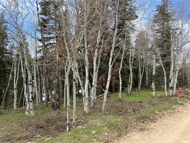 1507 W Elk Rd #D73, Wanship, UT 84017 — photo 2