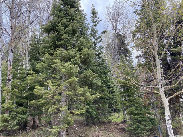 1507 W Elk Rd #D73, Wanship, UT 84017 — photo 6