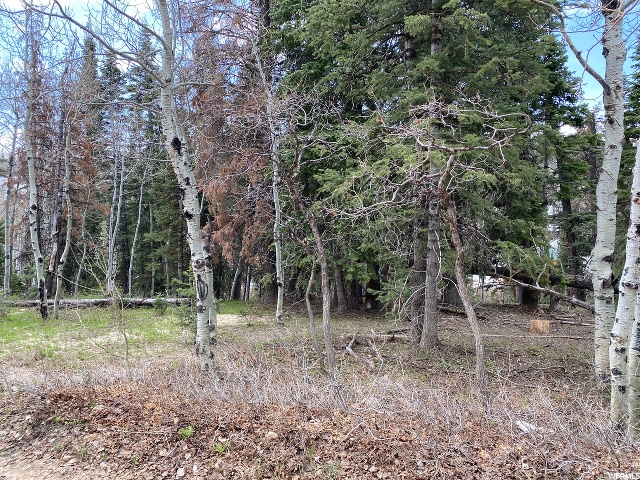 1507 W Elk Rd #D73, Wanship, UT 84017 — photo 5