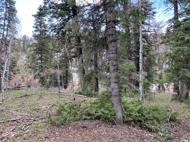1507 W Elk Rd #D73, Wanship, UT 84017 — photo 4