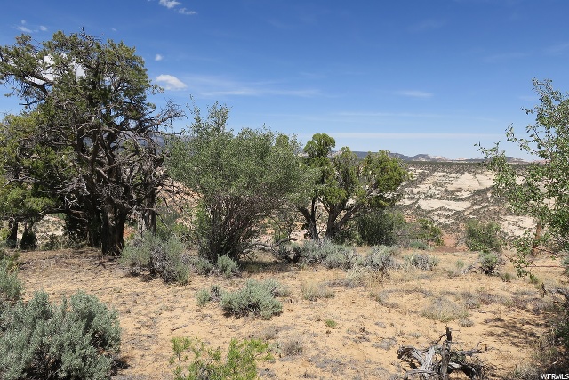2233 E Long Neck Dr E #4, Boulder, UT 84716 — photo 2