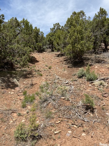 7528 W Red Cloud Loop Rd N, Vernal, UT 84078 — photo 5