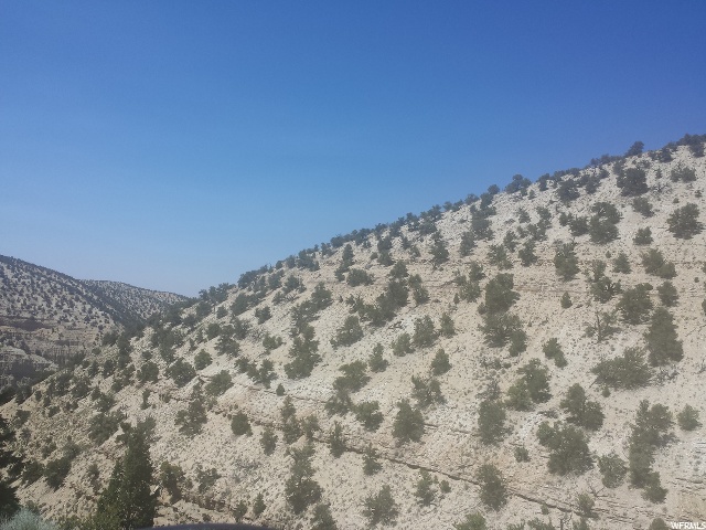 #18, Roosevelt, UT 84066 — photo 5