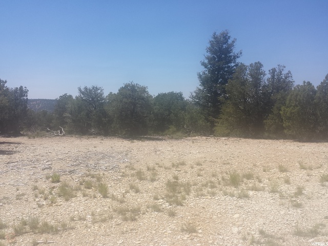 #18, Roosevelt, UT 84066 — photo 6