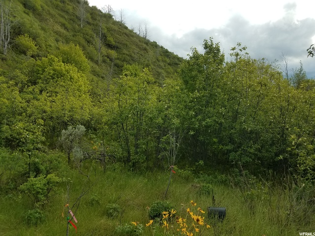 Harkness Cyn, McCammon, ID 83250 — photo 9