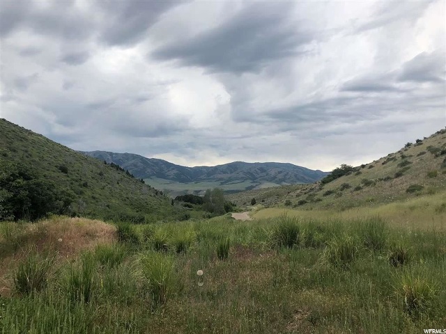 Harkness Cyn, McCammon, ID 83250 — photo 8