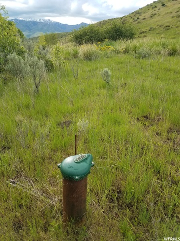 Harkness Cyn, McCammon, ID 83250 — photo 12