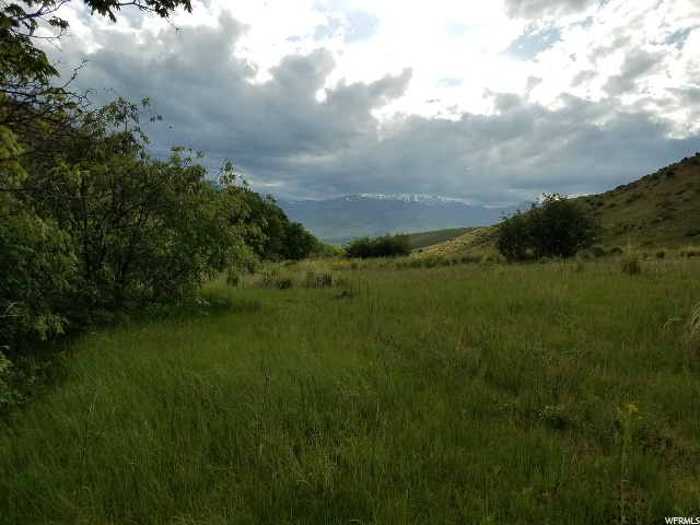 Harkness Cyn, McCammon, ID 83250 — photo 4